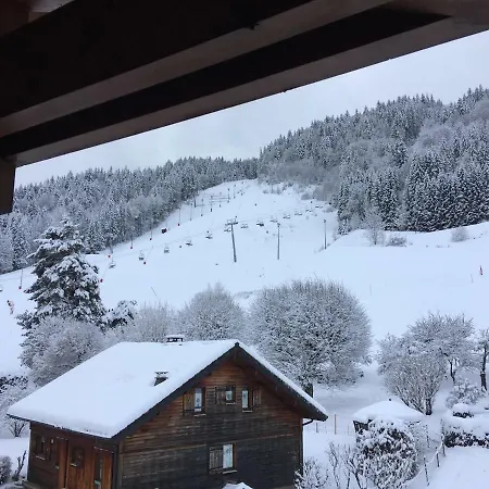 Apartament Le Montana Morzine